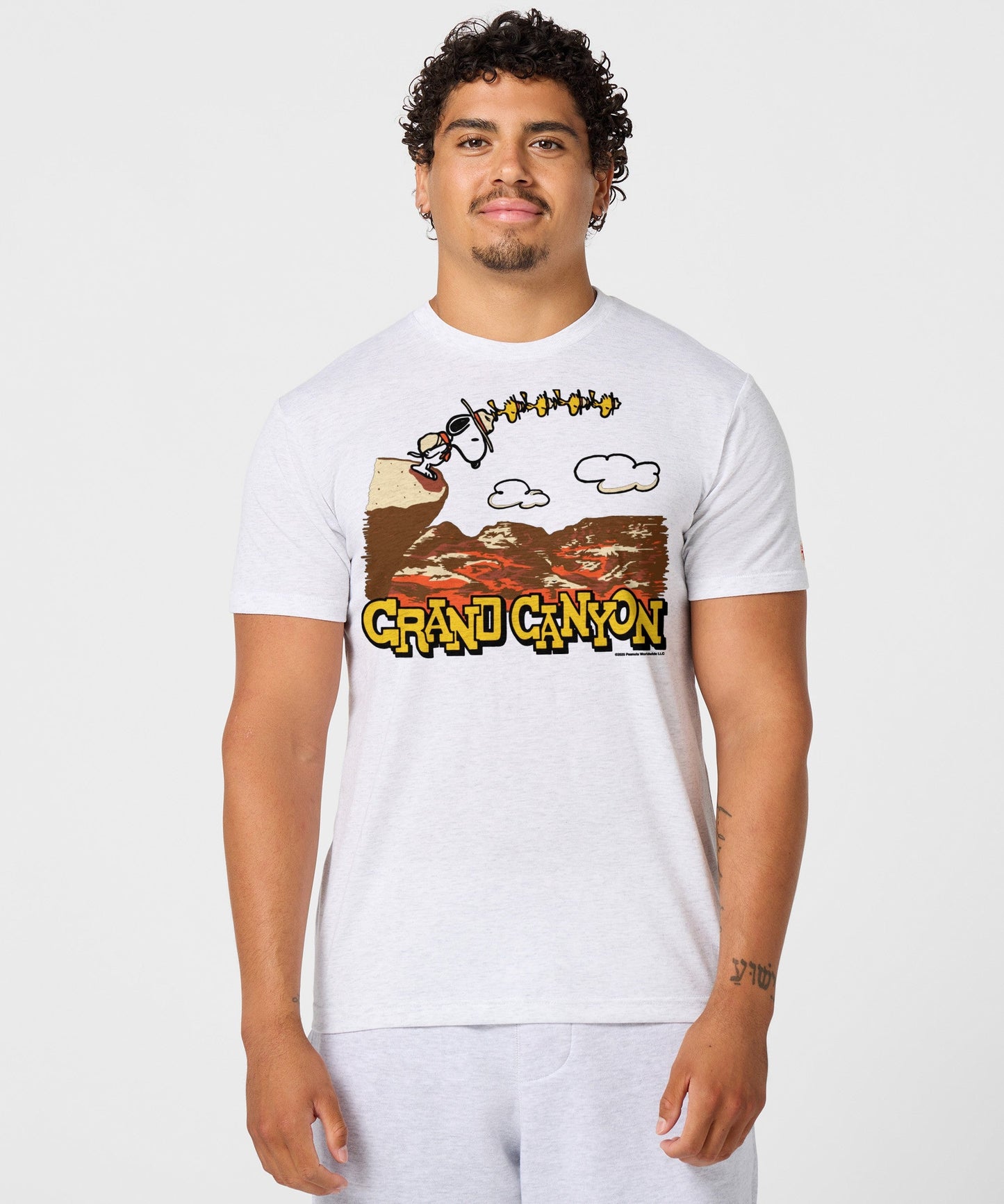Back view of the ash gray t-shirt with a plain solid back and comfortable fit