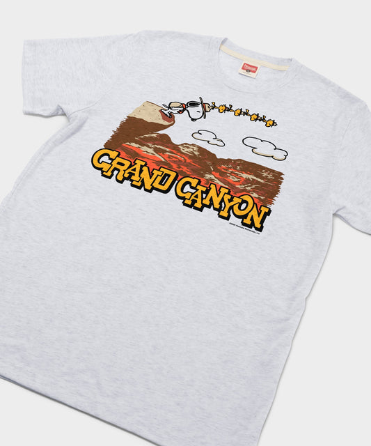Ash gray crewneck t-shirt featuring Snoopy relaxing against a Grand Canyon National Park graphic on the front chest-1