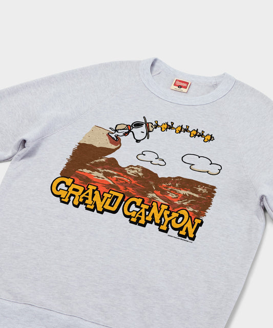 Ash grey crew-neck sweatshirt featuring Snoopy camping in front of Grand Canyon landscapes on the front chest-1