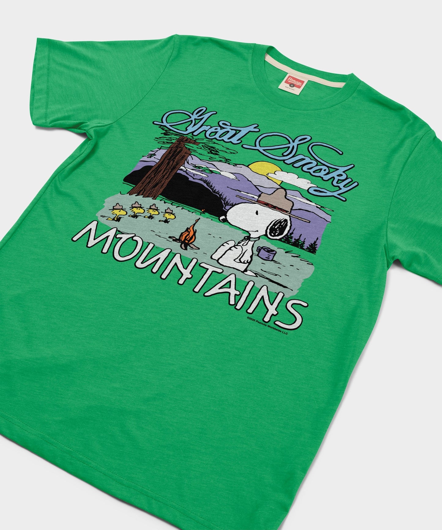 Close-up view of the screen-printed graphic on the green cotton t-shirt showing Snoopy in the national park