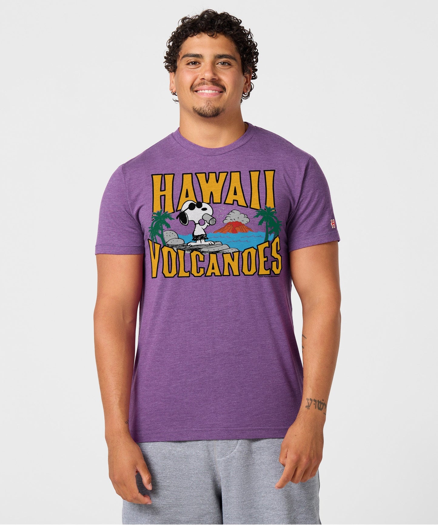 Back view of the solid royal purple unisex t-shirt