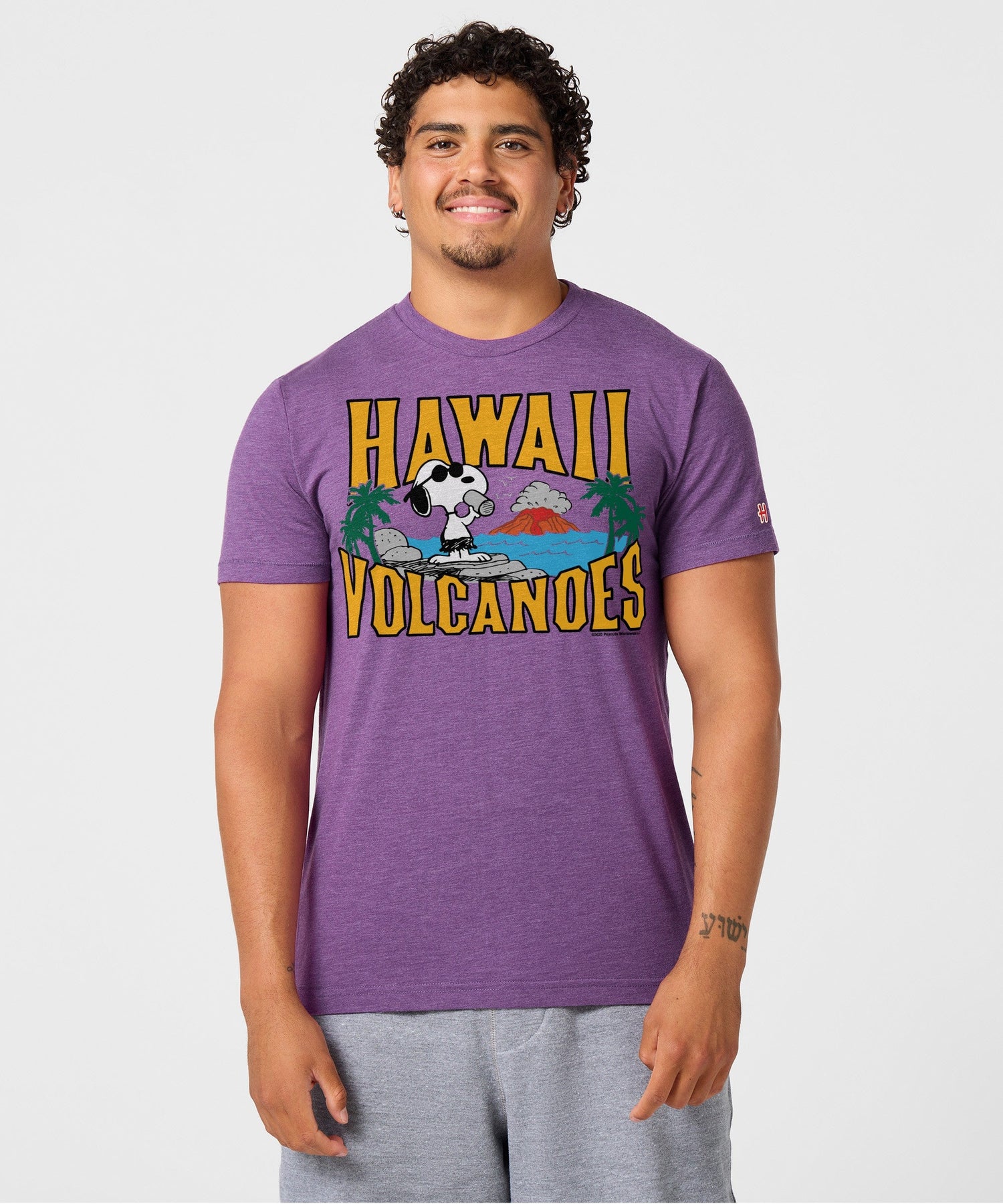 Back view of the solid royal purple unisex t-shirt