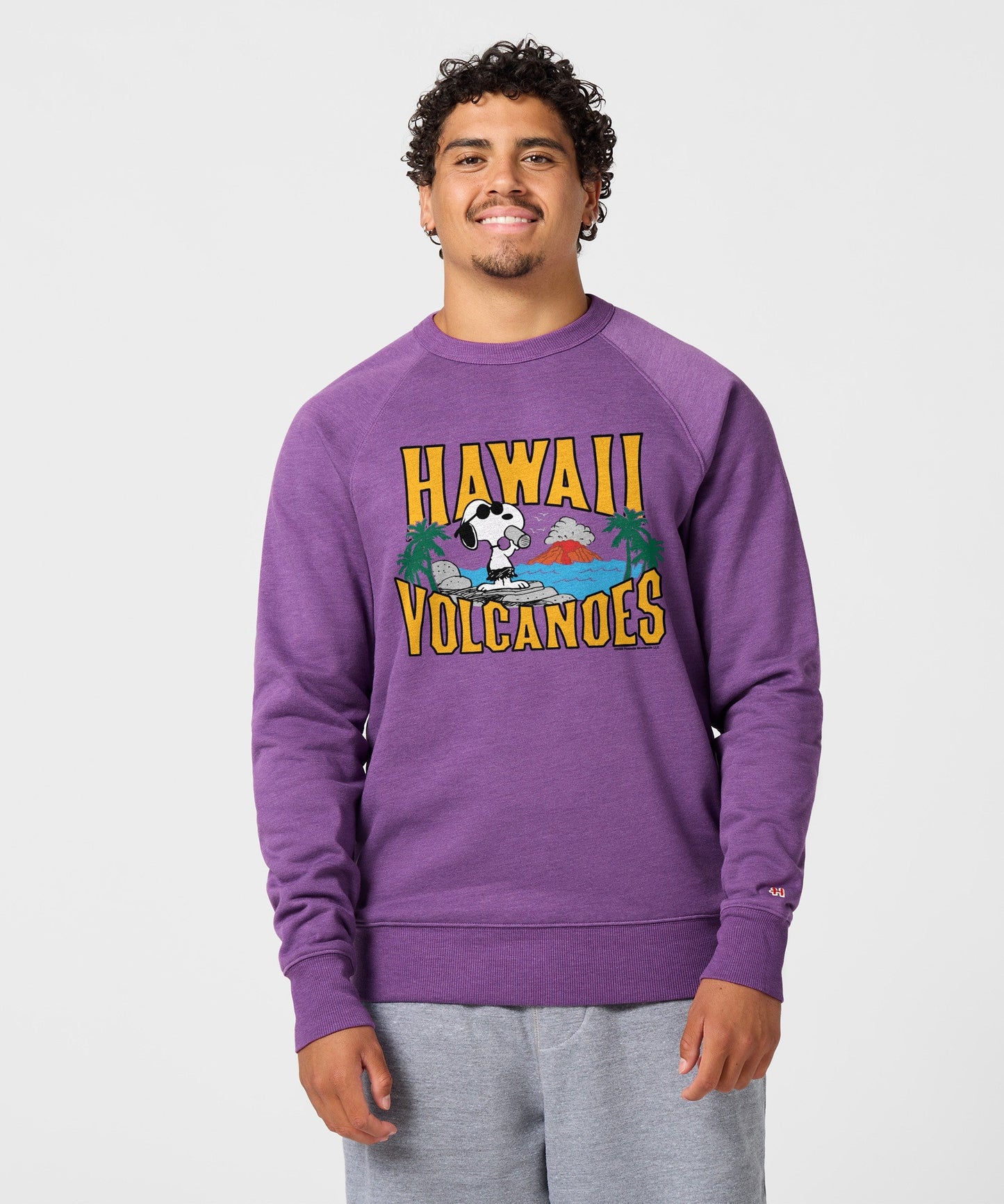 Back view of the solid royal purple crewneck sweatshirt