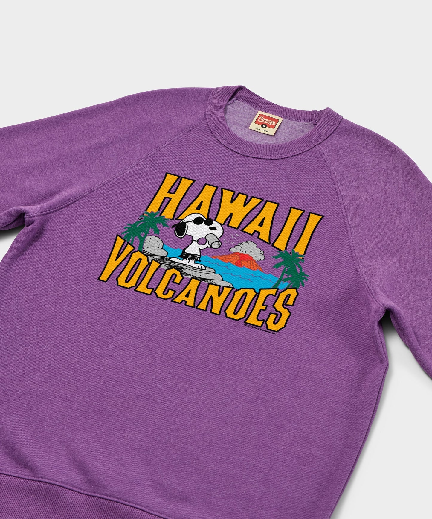 Close-up of the graphic print showing Snoopy in nature on the royal purple sweatshirt