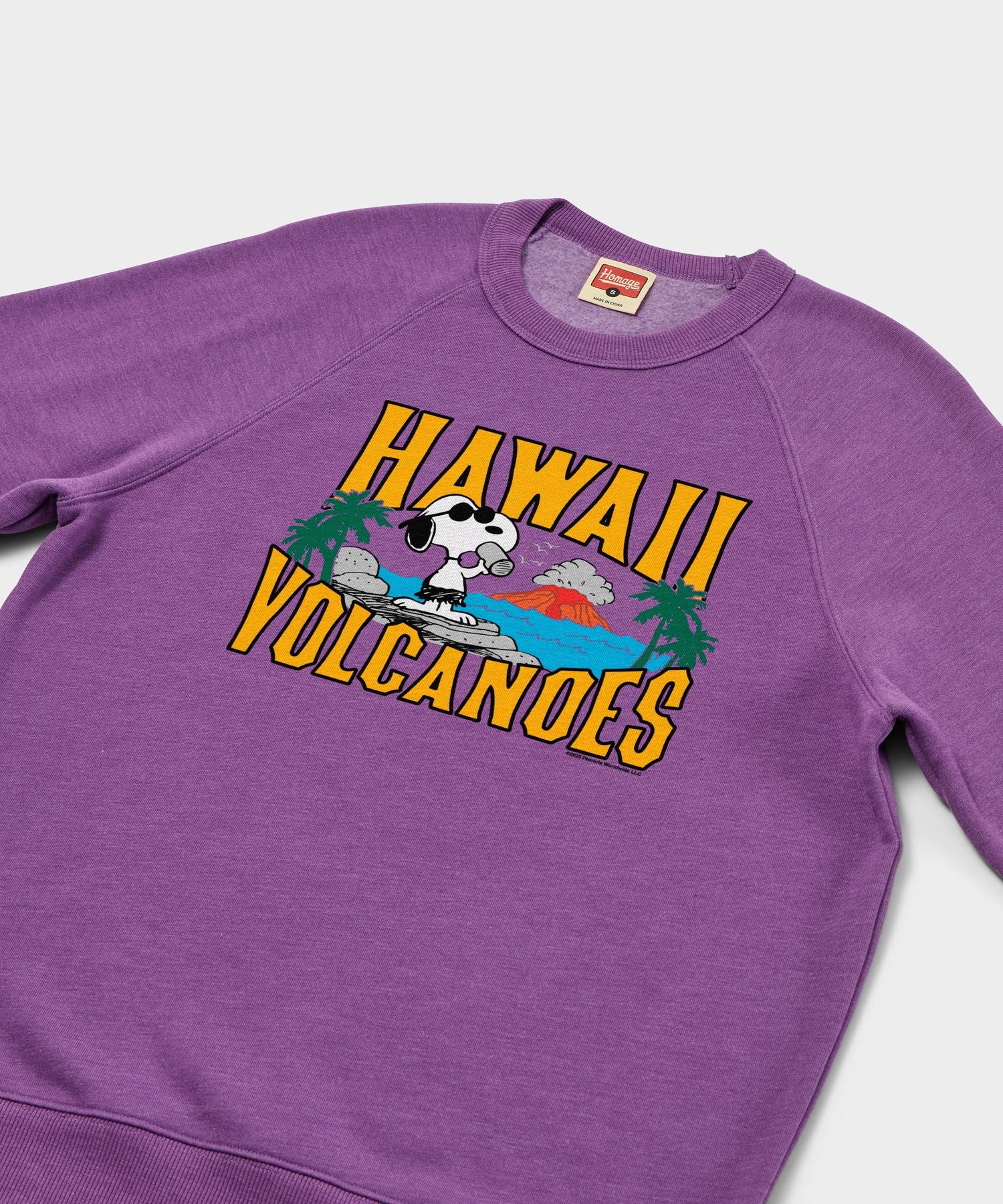 Close-up of the graphic print showing Snoopy in nature on the royal purple sweatshirt