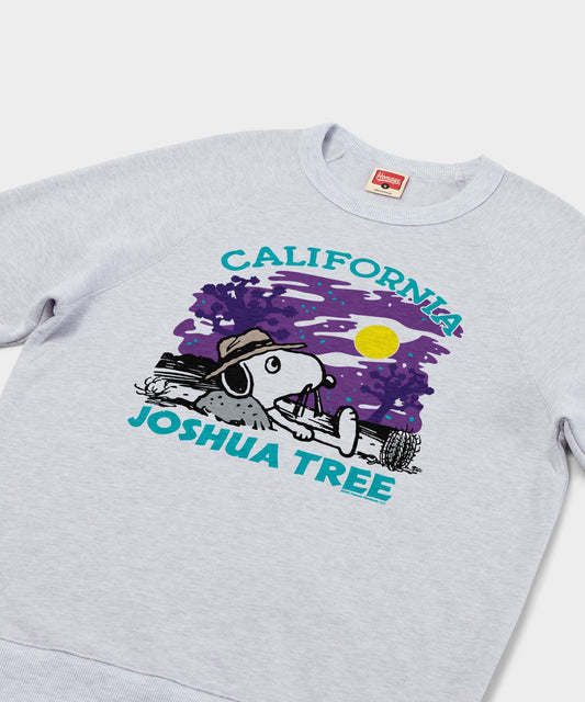 Ash crewneck sweatshirt featuring Snoopy exploring Joshua Tree National Park printed centrally on the front-1