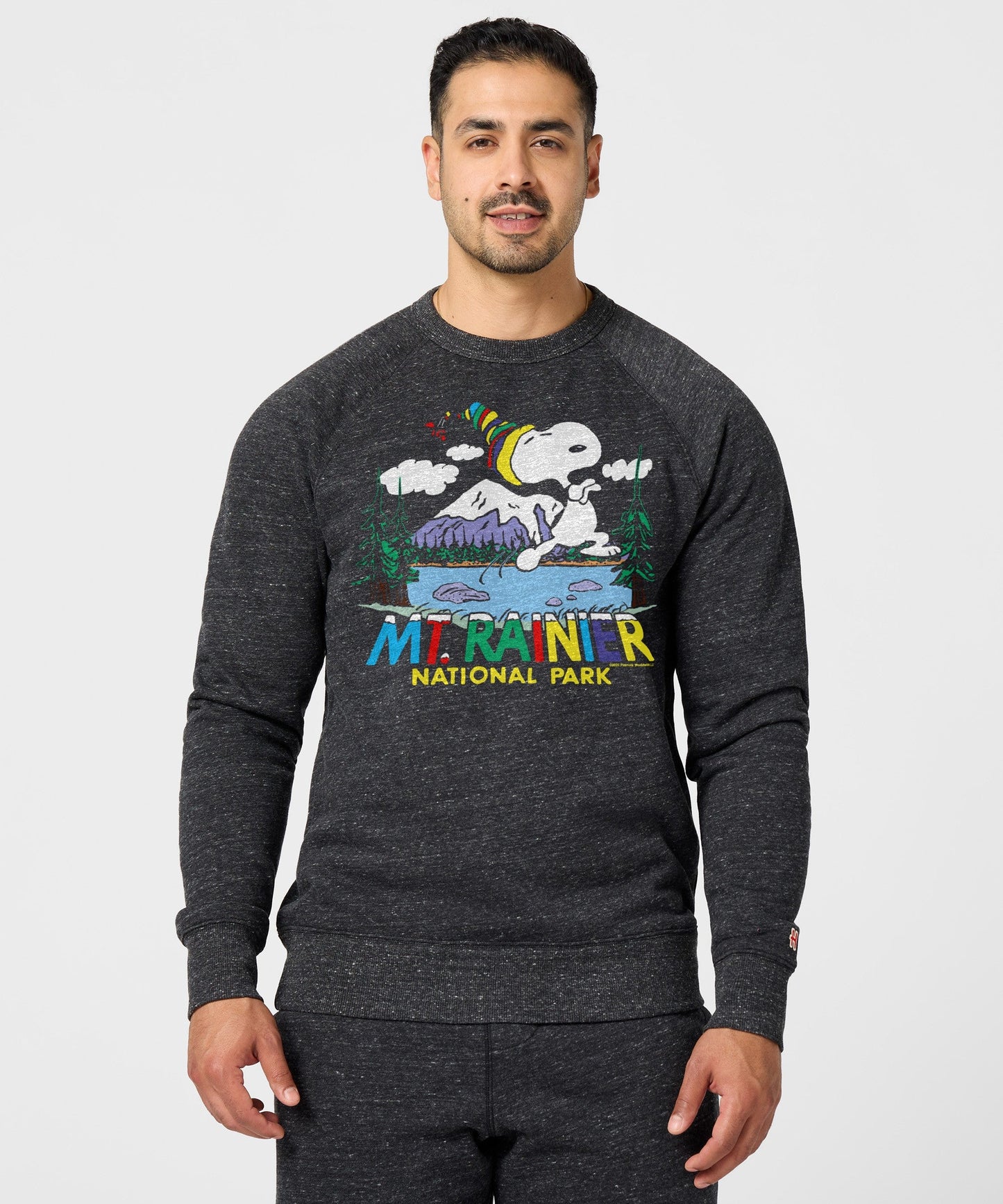 Back view of the charcoal unisex crewneck sweatshirt with a smooth, solid finish