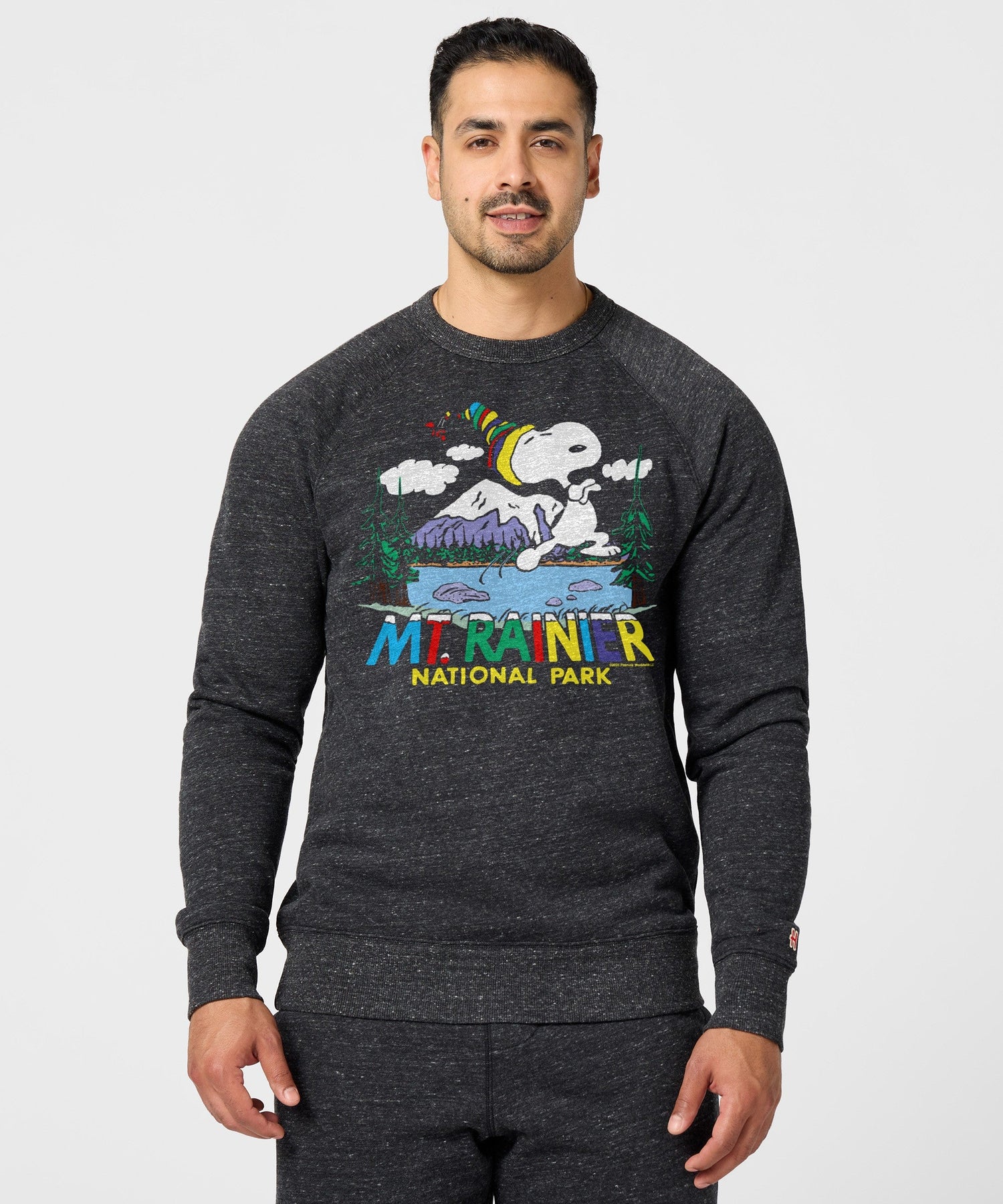 Back view of the charcoal unisex crewneck sweatshirt with a smooth, solid finish