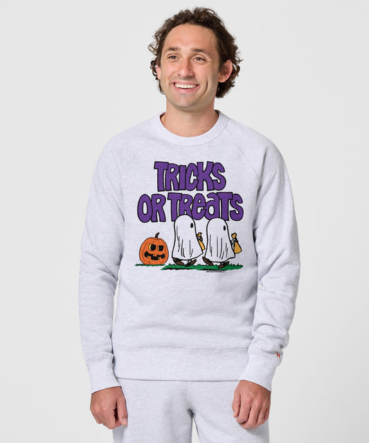 Ash grey crewneck sweatshirt featuring a vintage Peanuts autumn graphic on the front chest-2