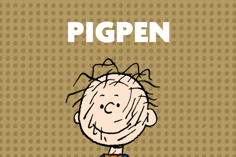 shop-by-show-pigpen-image