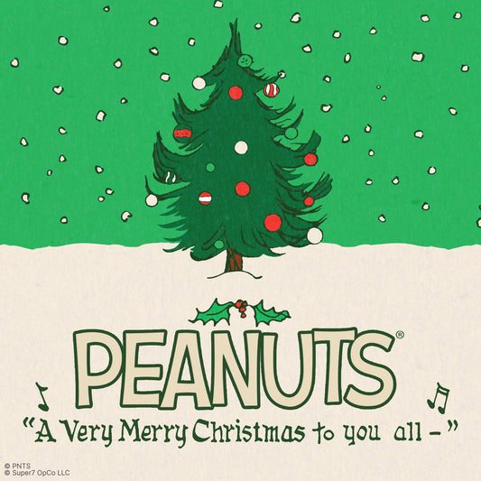 Peanuts Charlie Brown and Snoopy Caroling ReAction Figures in packaging-5
