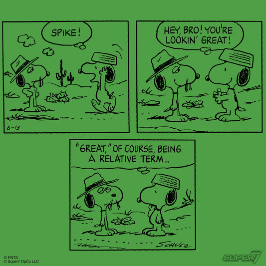 Peanuts Snoopy and Spike ReAction figures in window box packaging-5
