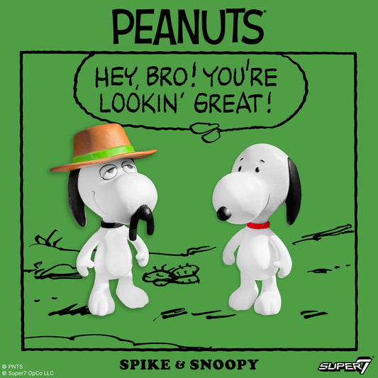 Peanuts Snoopy and Spike ReAction figures in window box packaging-1