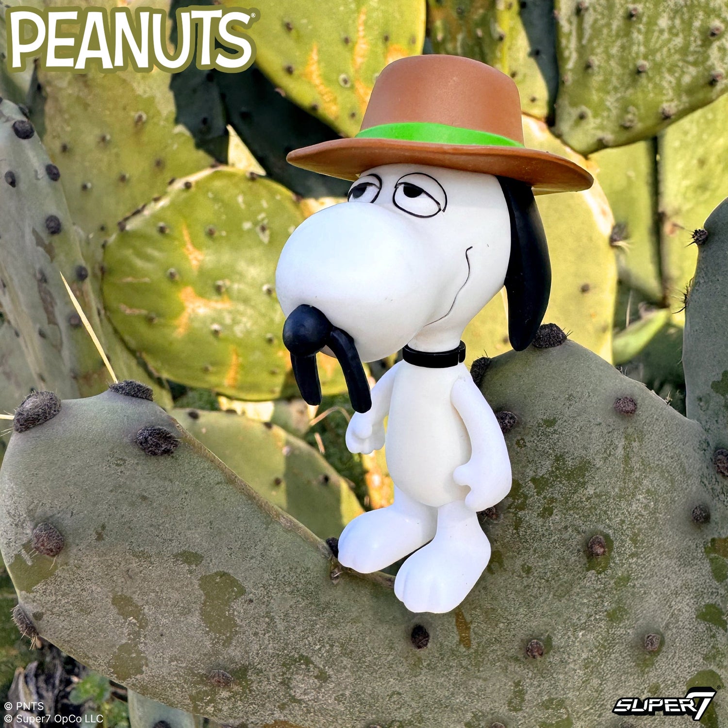 Side view of Snoopy and Spike 2 pack packaging