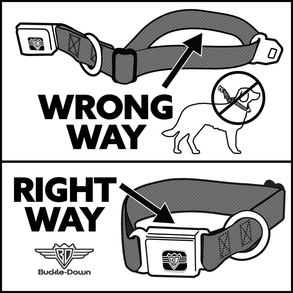 Peanuts Dog Collar with Title Logo Seatbelt Buckle