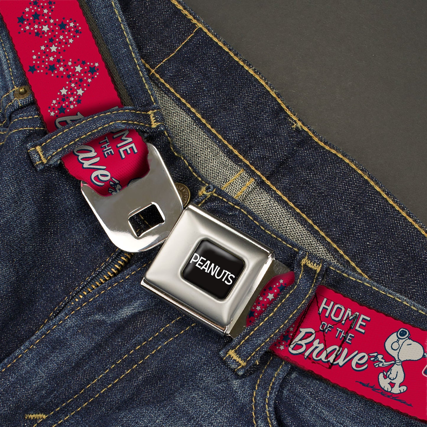 Peanuts Title Logo & Gang Summer Poses Seatbelt Belt