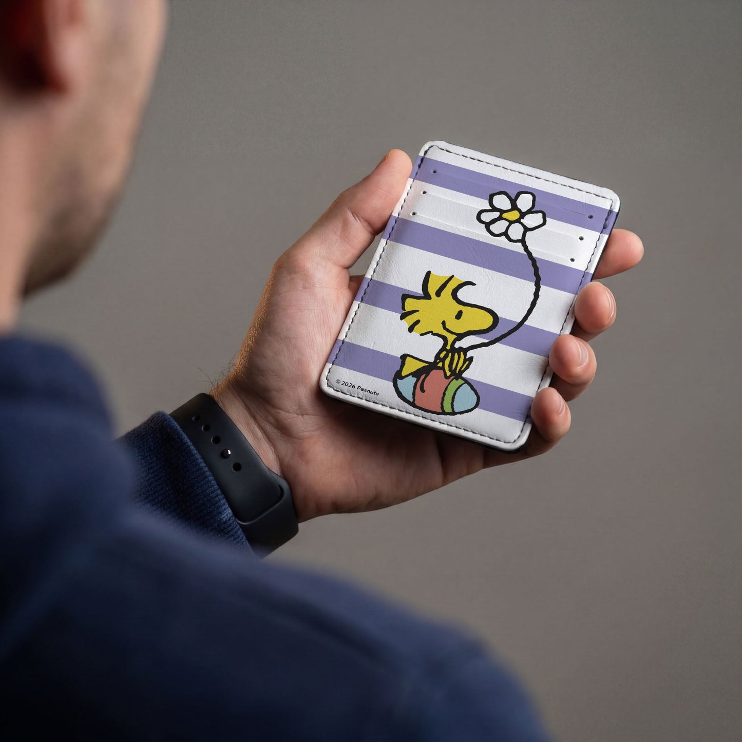 Peanuts Woodstock Easter Egg Stripe ID Wallet - Lavender/White