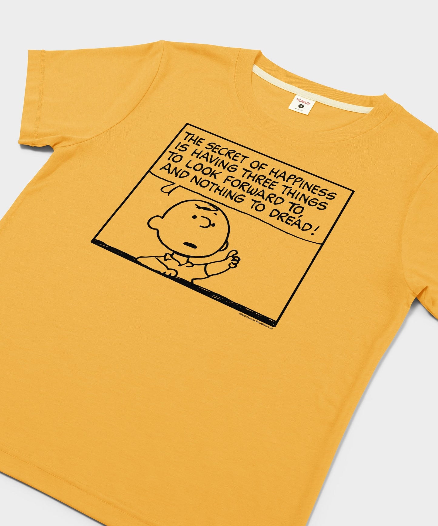 Close-up of the graphic print showing Charlie Brown from the Peanuts strip