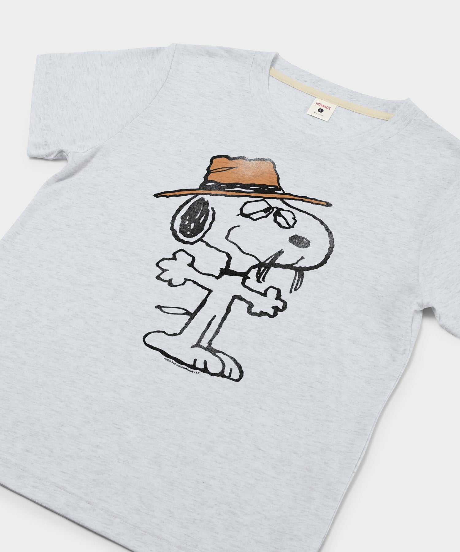 Close-up of the front graphic showing Snoopy's brother Spike in a classic pose