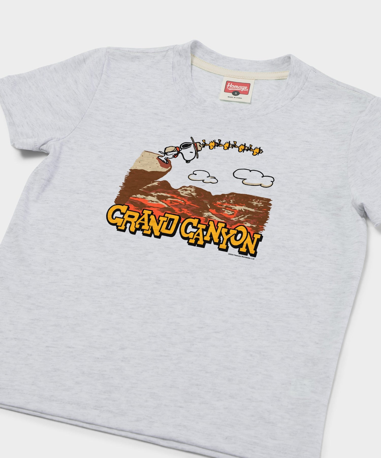 Close-up of the Snoopy and Grand Canyon National Park graphic printed on the front of the youth t-shirt