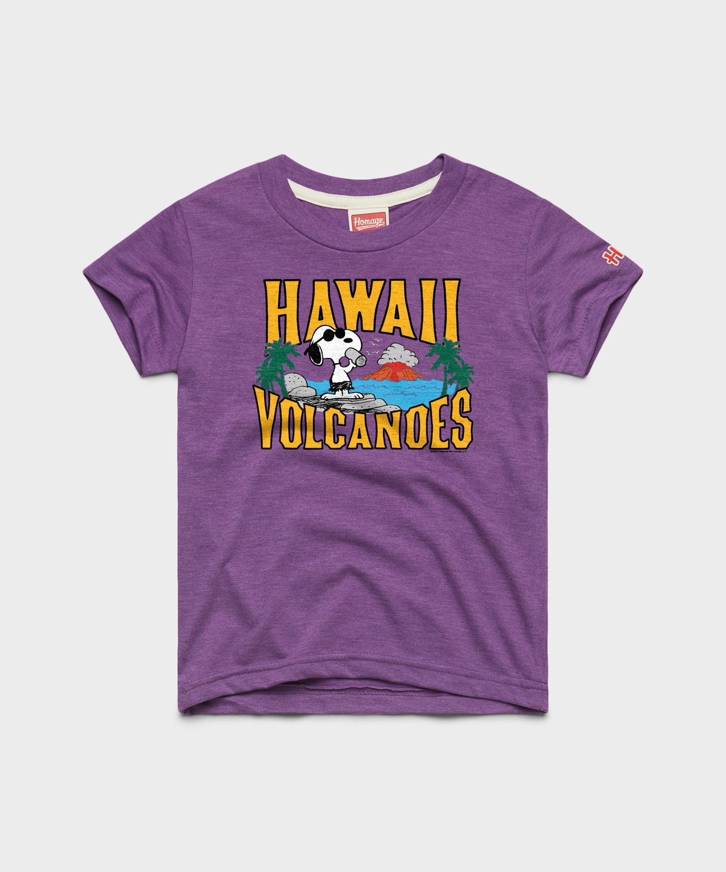 Royal purple youth t-shirt featuring a Snoopy and Hawaii Volcanoes National Park graphic on the front chest