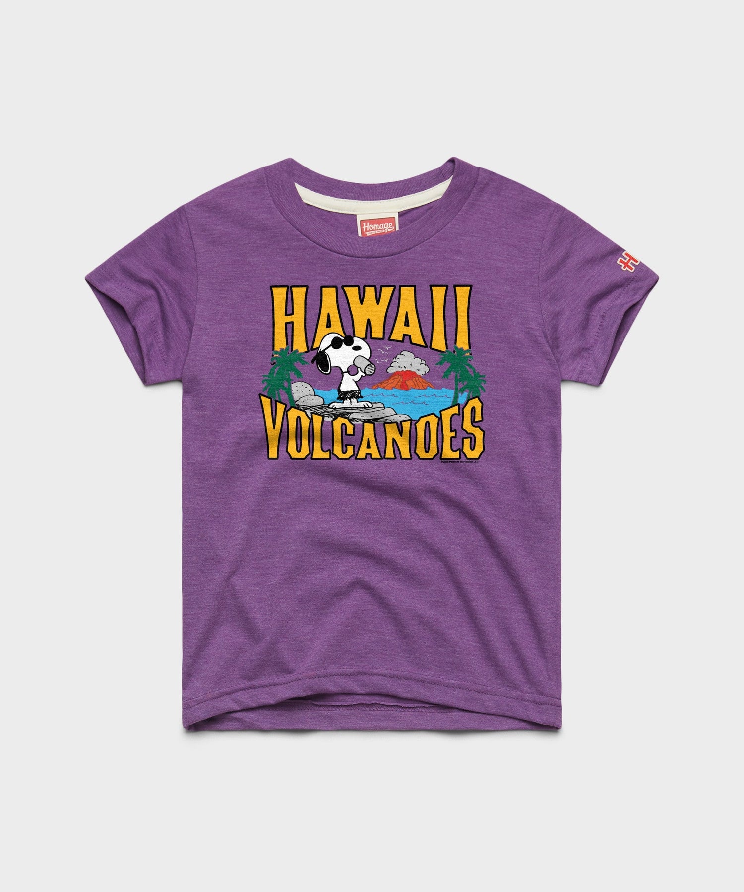 Royal purple youth t-shirt featuring a Snoopy and Hawaii Volcanoes National Park graphic on the front chest