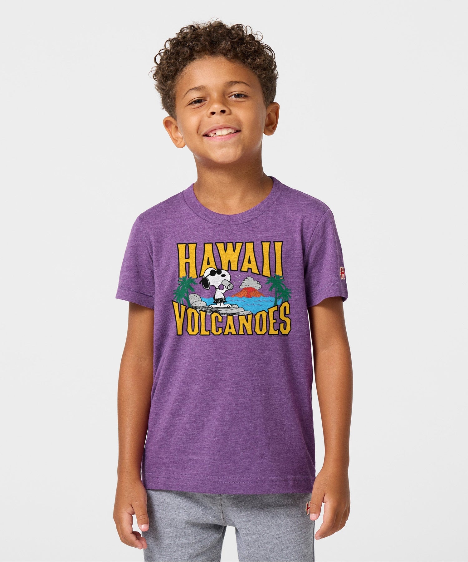 Back view of the solid royal purple youth t-shirt