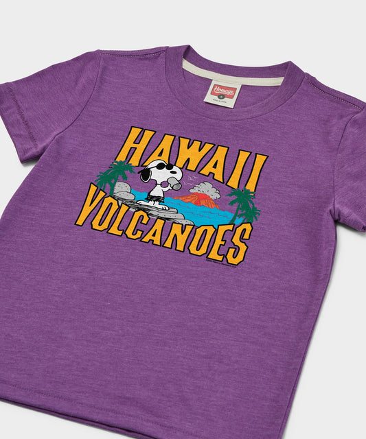 Royal purple youth t-shirt featuring a Snoopy and Hawaii Volcanoes National Park graphic on the front chest-1