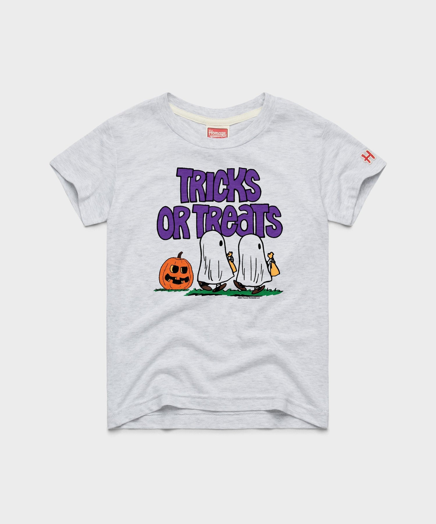 Ash youth t-shirt featuring Charlie Brown and the Peanuts gang graphic on the front chest