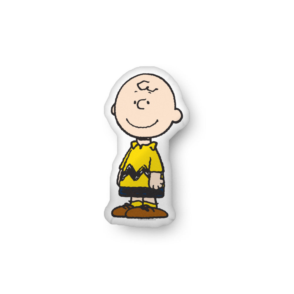 Peanuts Charlie Brown Pillow