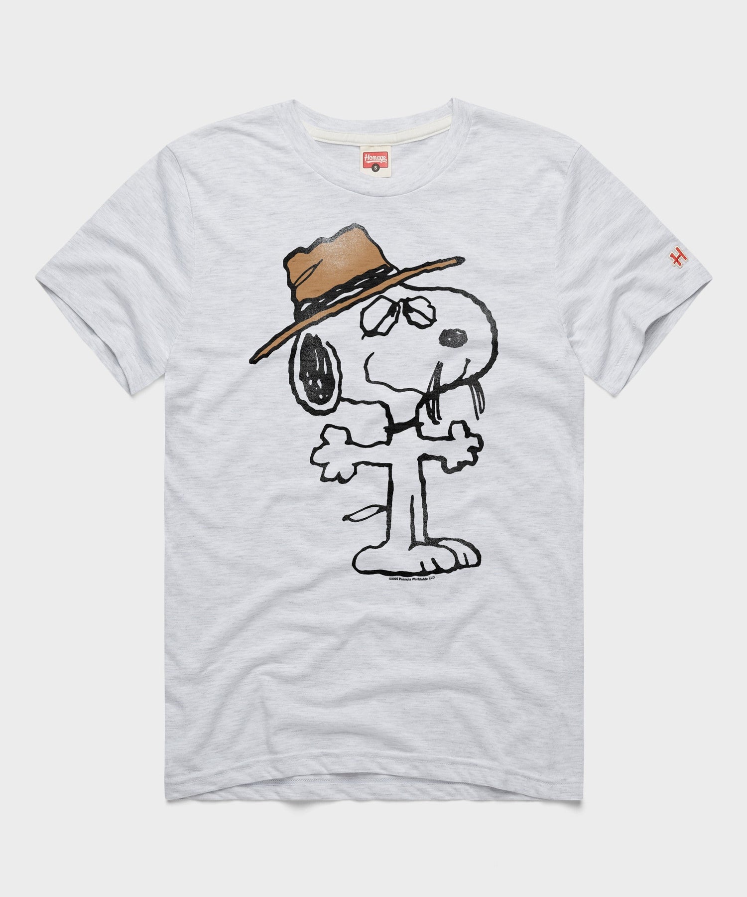 Ash grey t-shirt featuring a graphic of Spike in the desert on the front chest