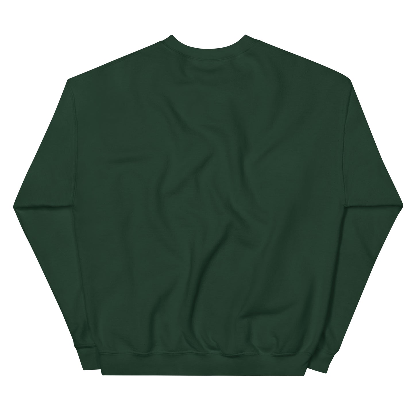 Close-up of the graphic detail on the sport grey sweatshirt