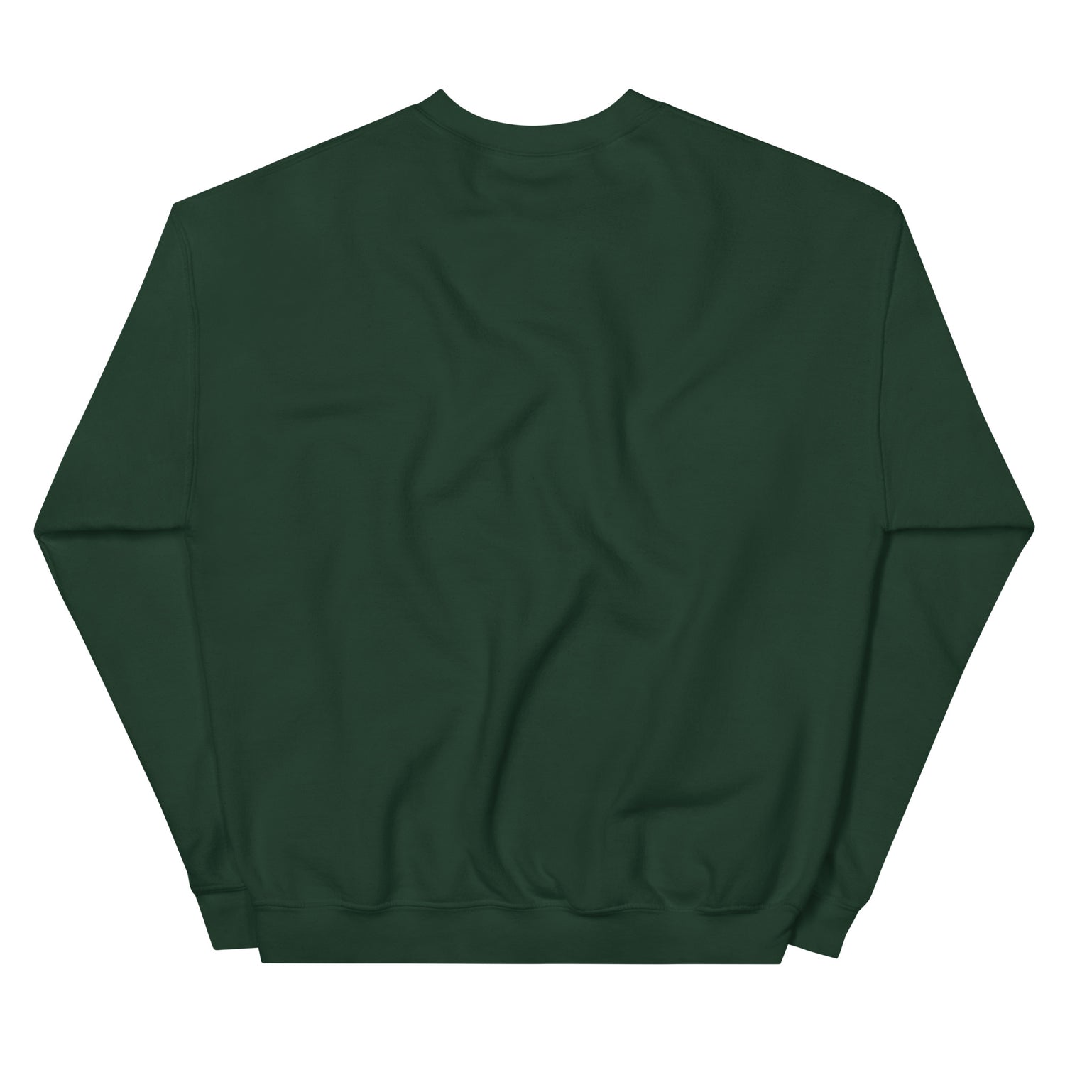 Close-up of the graphic detail on the sport grey sweatshirt