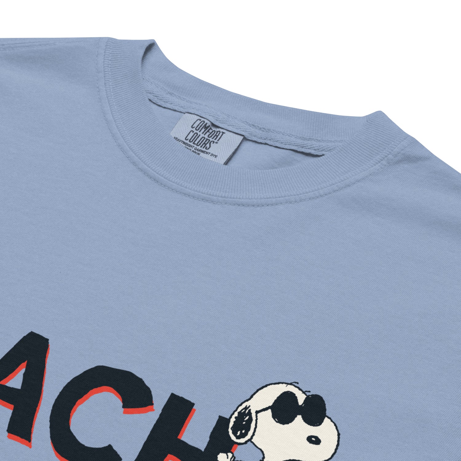 Back view of the blue Peanuts Ready to Teach garment-dyed t-shirt