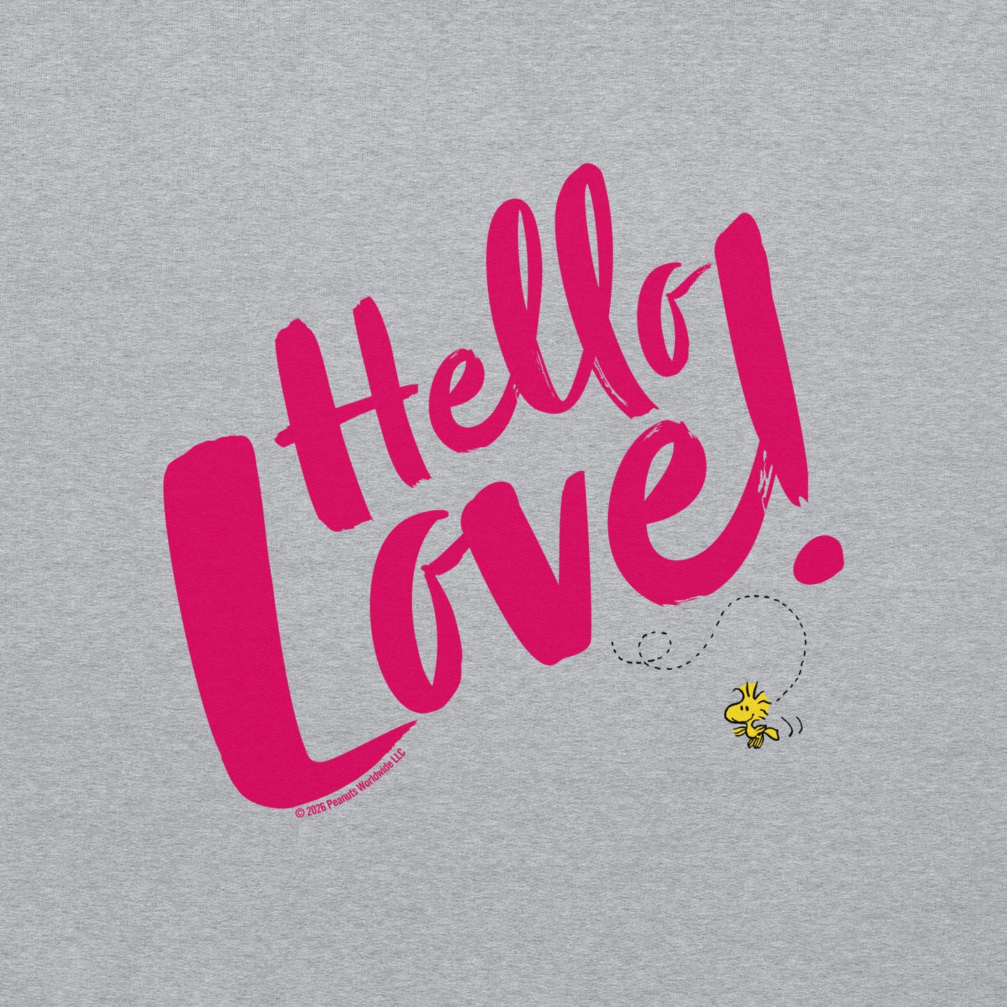 Peanuts Hoodie Hello Love