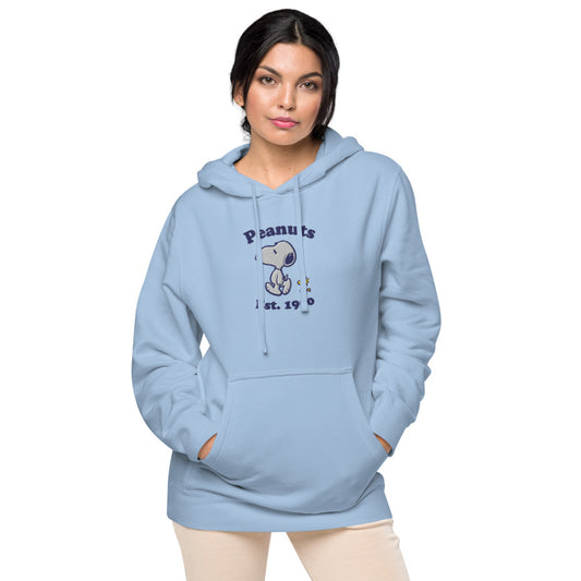 Peanuts Best Buddies Embroidered Hoodie Pigment Light Blue-1