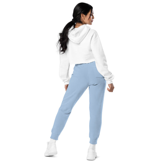 Peanuts Woodstock Embroidered Sweatpants Pigment Light Blue-2