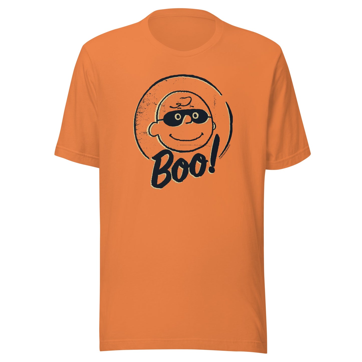 Charlie Brown Boo Adult T-Shirt