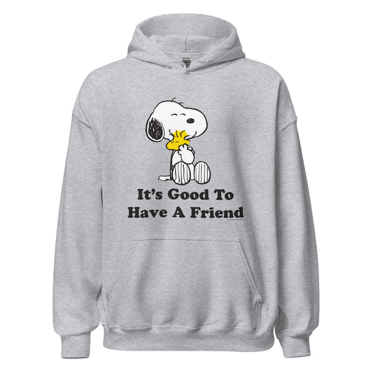 It's Good To Have A Friend Adult Hoodie-0