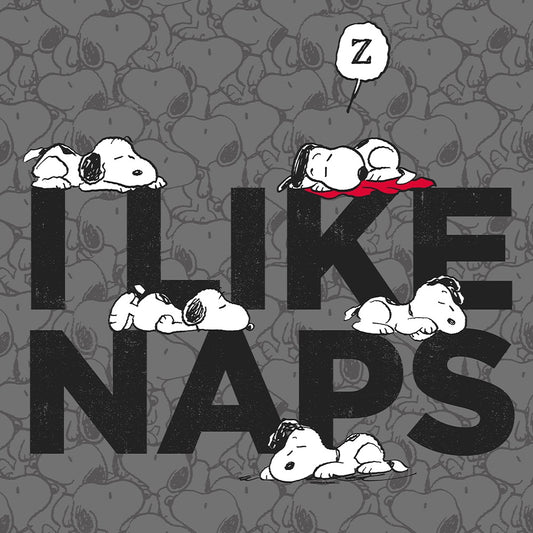 Snoopy I Like Naps Pet Bed-1