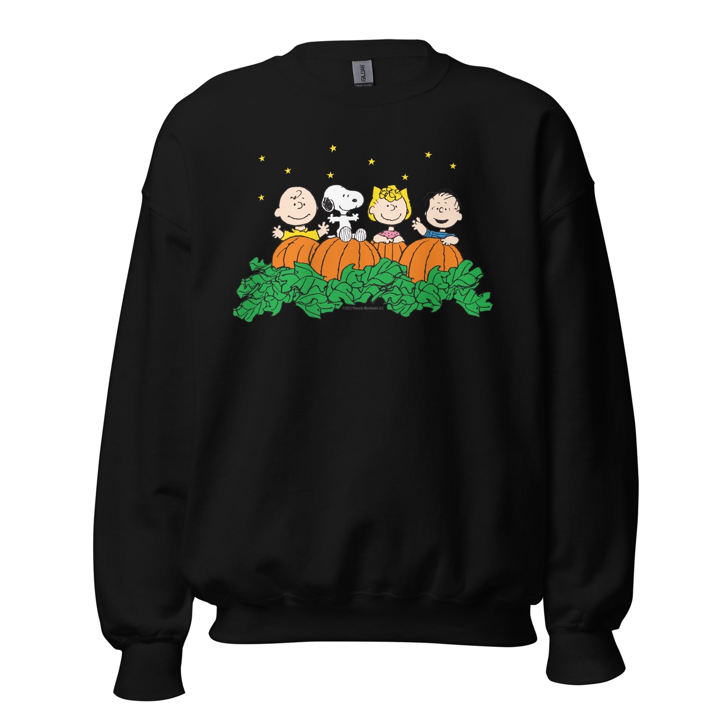 Peanuts Gang Pumpkin Patch Adult Sweatshirt